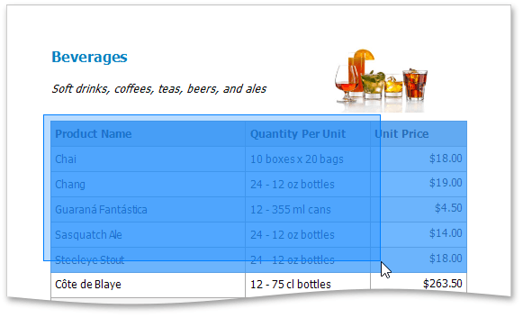 EUD_WpfPrintPreview_Copying1