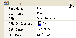 EU_XtraVerticalGrid_CategoryRowExpandButton