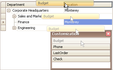 EU_XtraTreeList_DisplayColumn_FromCustomizationForm
