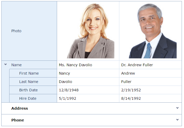 EUD-ASPxVerticalGrid-Overview