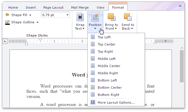 EUD_RichEdit_FloatingPositionSettings