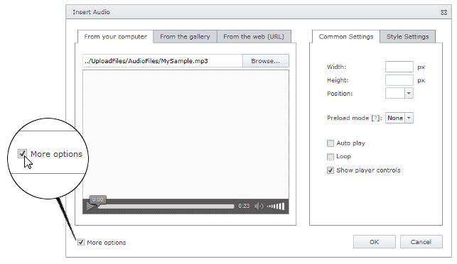 EUD_HTMLEditor_AudioMoreOptions