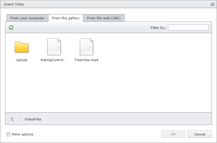 EUD_InsertVideo_fromGallery