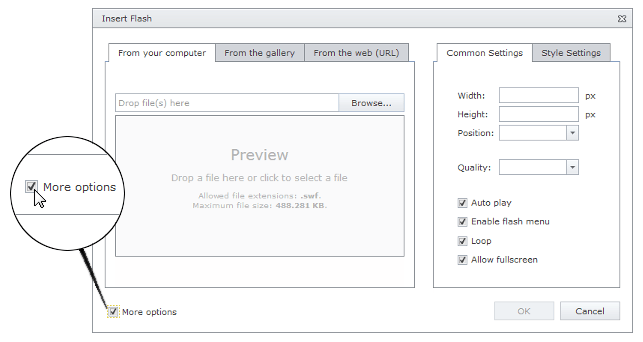 EUD_InsertFlash_MoreOptions