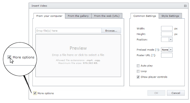 EUD_InsertVideo_MoreOptions