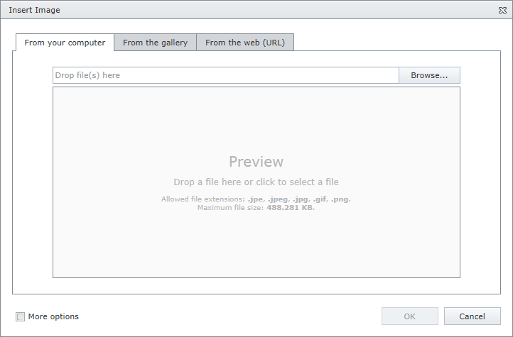 aspxhtmleditor-insertlocal