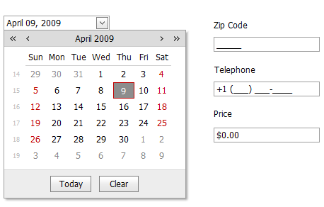 ASPxEditors-MaskedInput